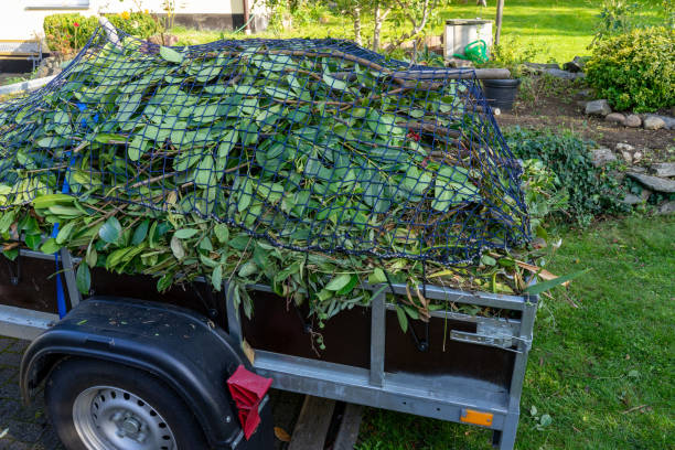 Best Commercial Junk Removal  in Jordan, MN